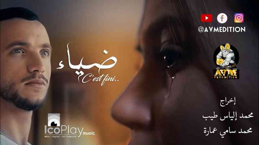 كلمات اغنية سي فيني ضياء