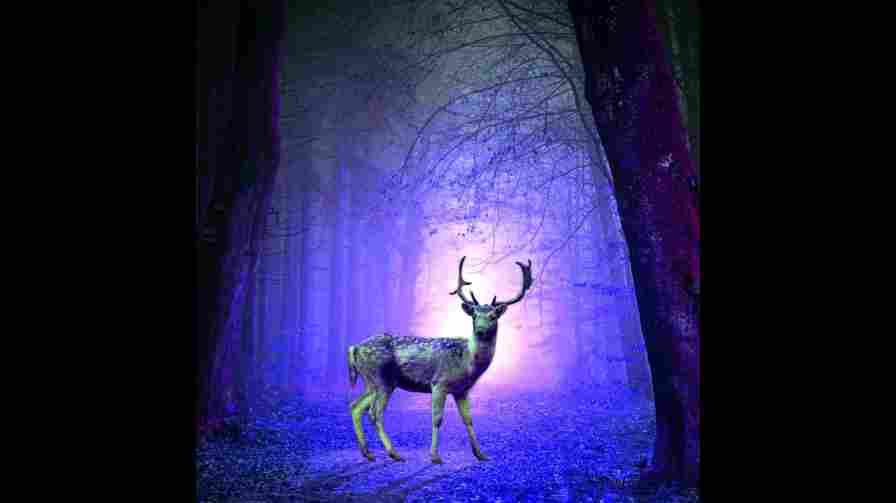 كلمات اغنية صلاة العاشقين مولوتوف و وائل بلال