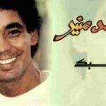 كلمات اغنية شبك محمد منير