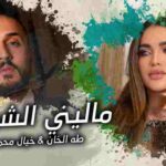 كلمات اغنية ماليني الشوك طه الخان و خيال محمد