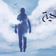 كلمات اغنية ولا صحبة أحلي حمزة نمرة