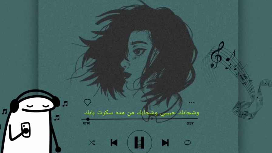 كلمات اغنية ويش جابك كاريزما