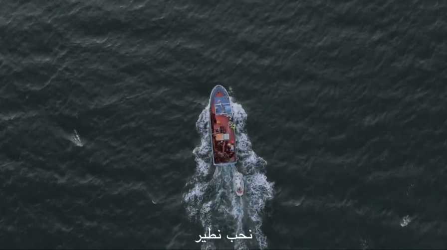 كلمات اغنية نحب نطير امون
