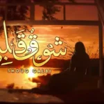 كلمات اغنية شوق قلبي حسين الجسمي