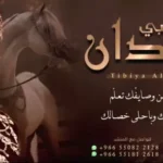 كلمات اغنية طبي الميدان احمد الرجعان