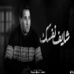 كلمات اغنية شايف نفسك احمد شيبه